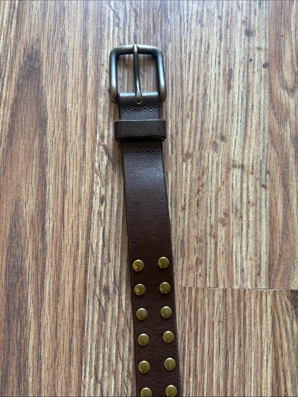 J. Crew Brown Studded Leather Belt with Brass Accents - Picture 4 of 5